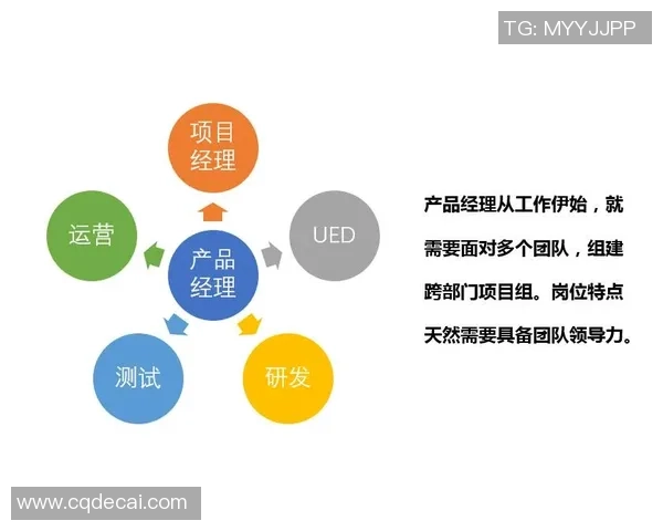深圳飞盘队团队协作表现分析与提升策略探讨 深圳飞盘队团队协作表现分析与提升策略探讨