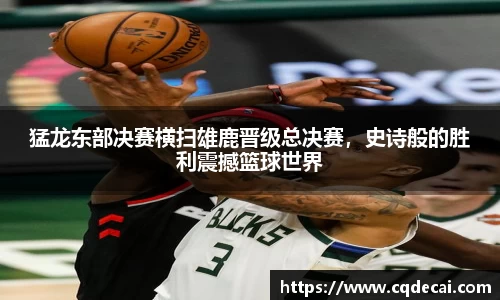 乐虎国际