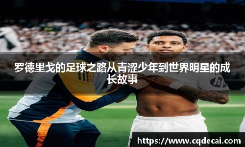 乐虎国际官网